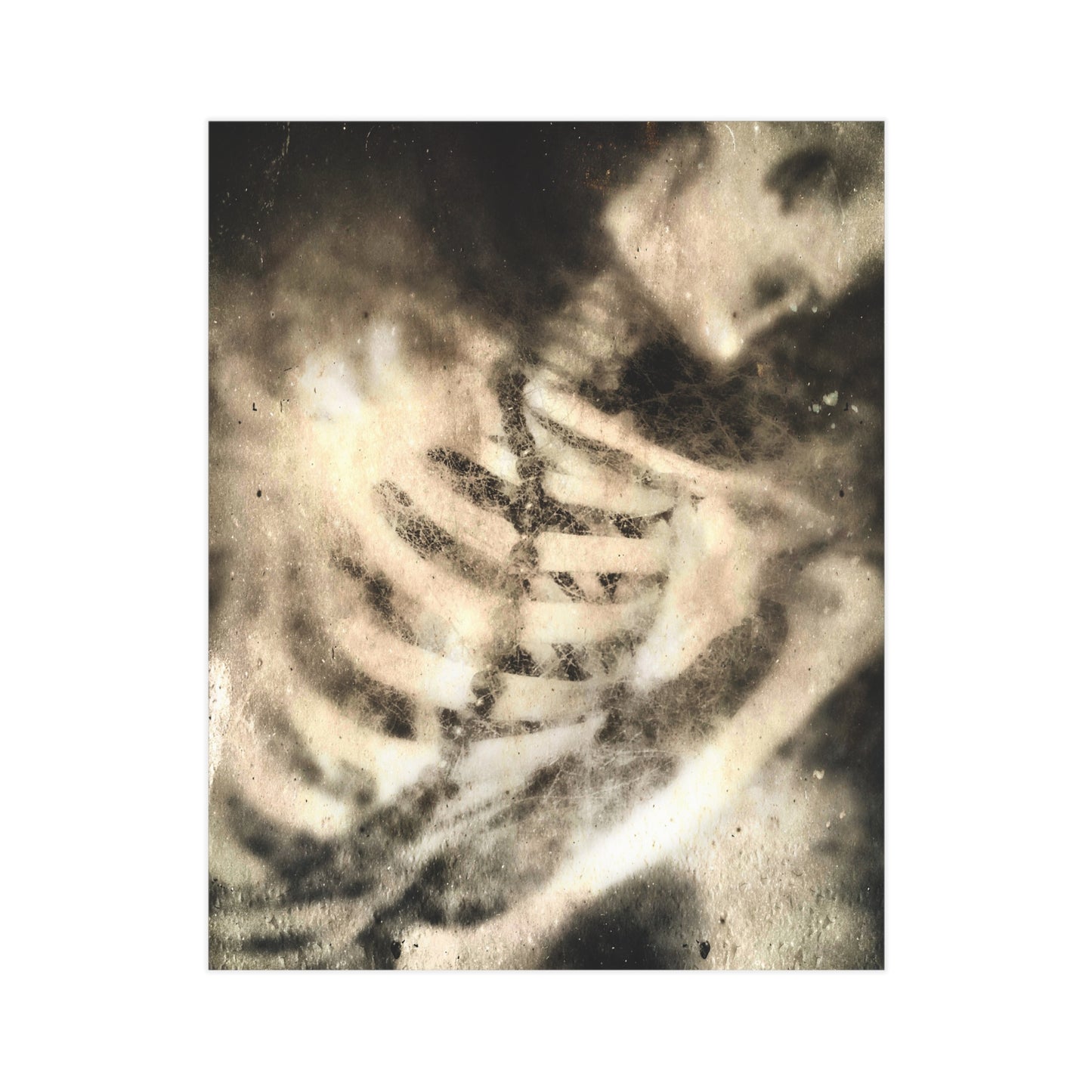 Bone To Pick Paper Print