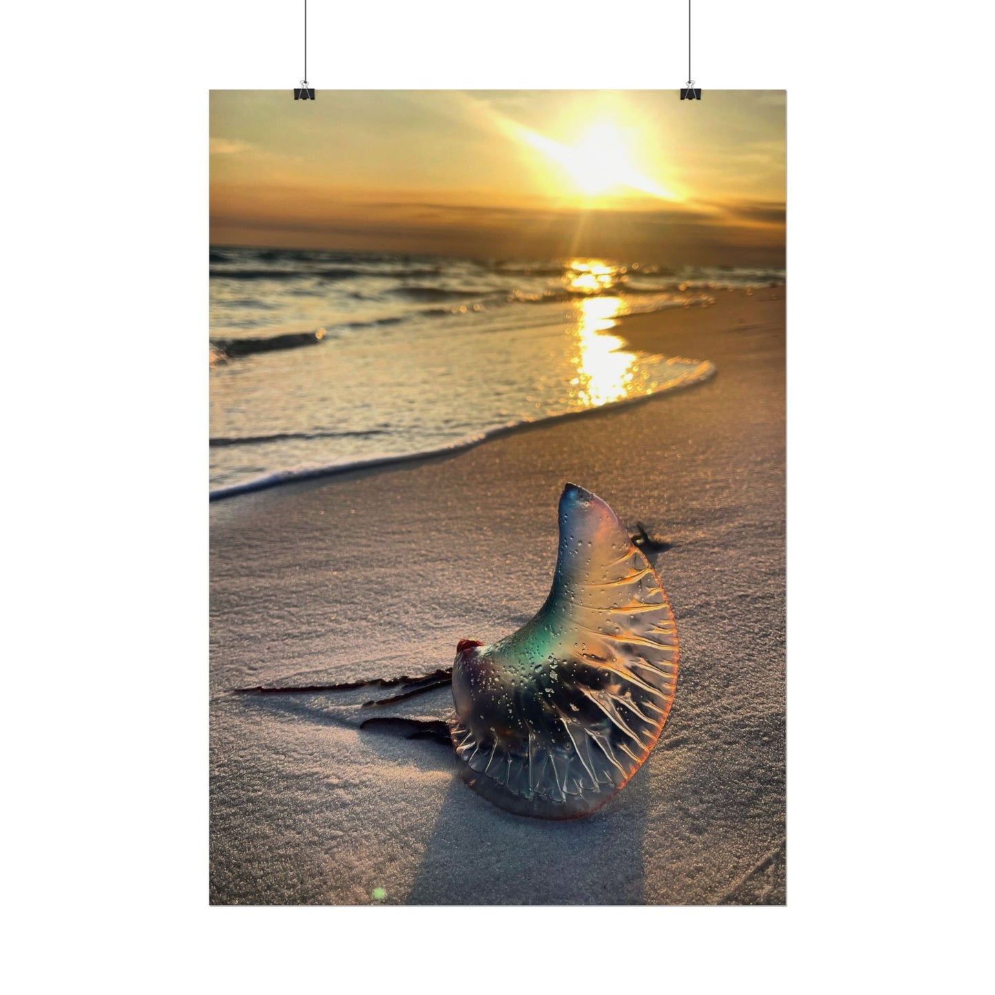 The Day The Moon Washed Ashore Rolled Poster