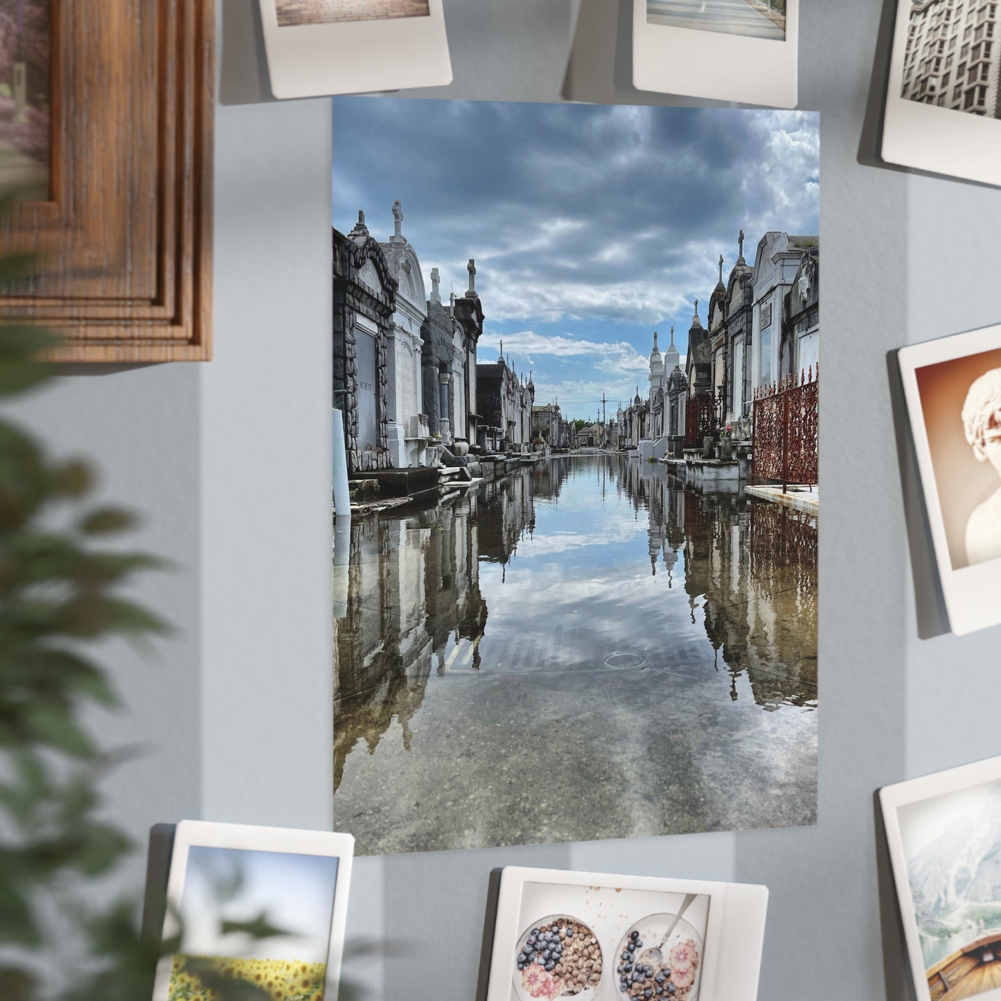Avenue of Forever Paper Print