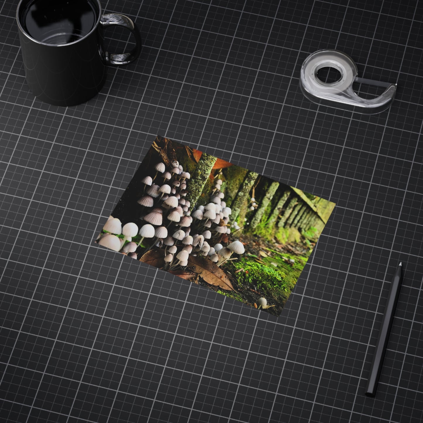 The Kingdom Paper Print