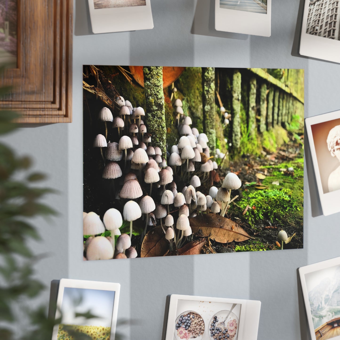The Kingdom Paper Print