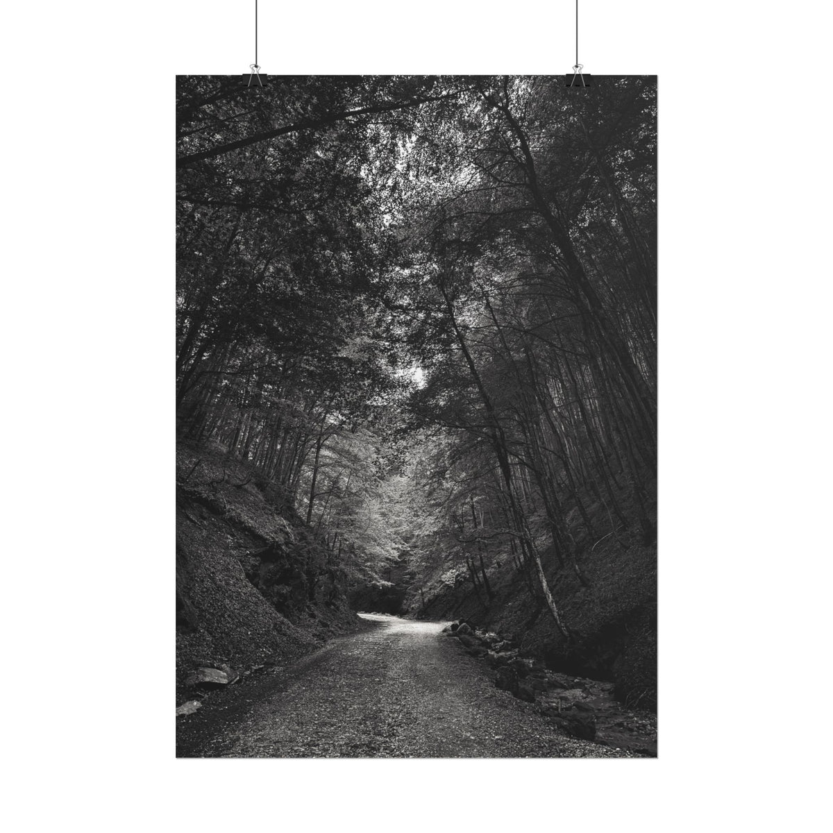 Carpathian Forest Rolled Posters