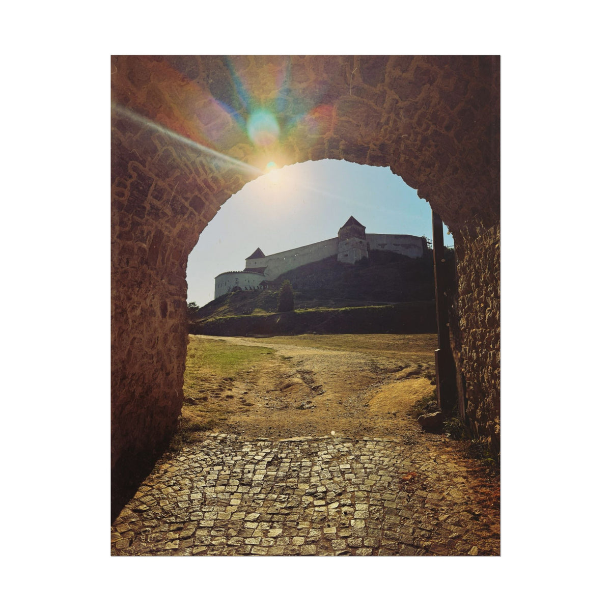 Rasnov Fortress Rolled Posters