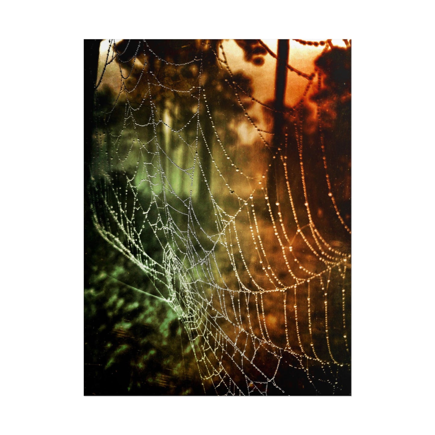 Tears of Dawn (V.2) Rolled Poster