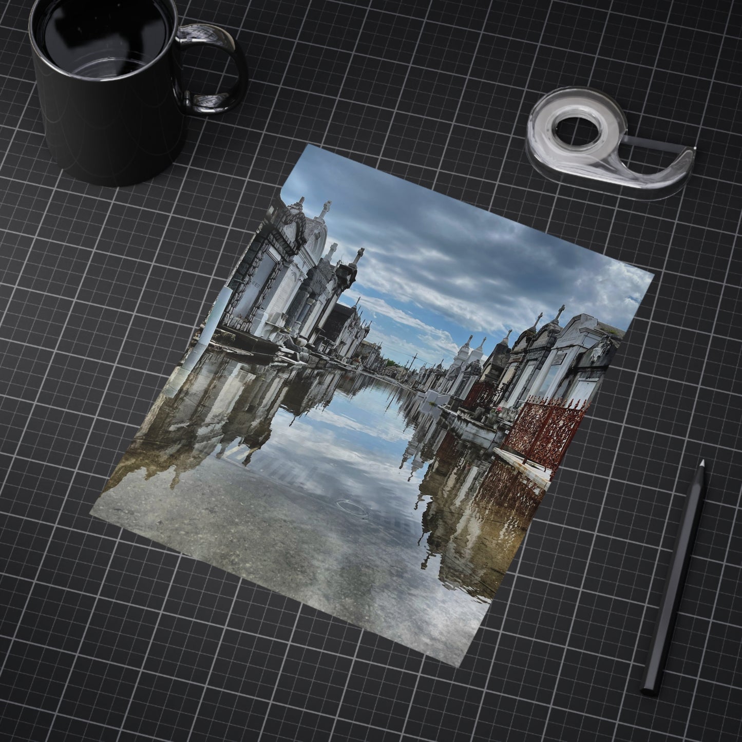 Avenue of Forever Paper Print
