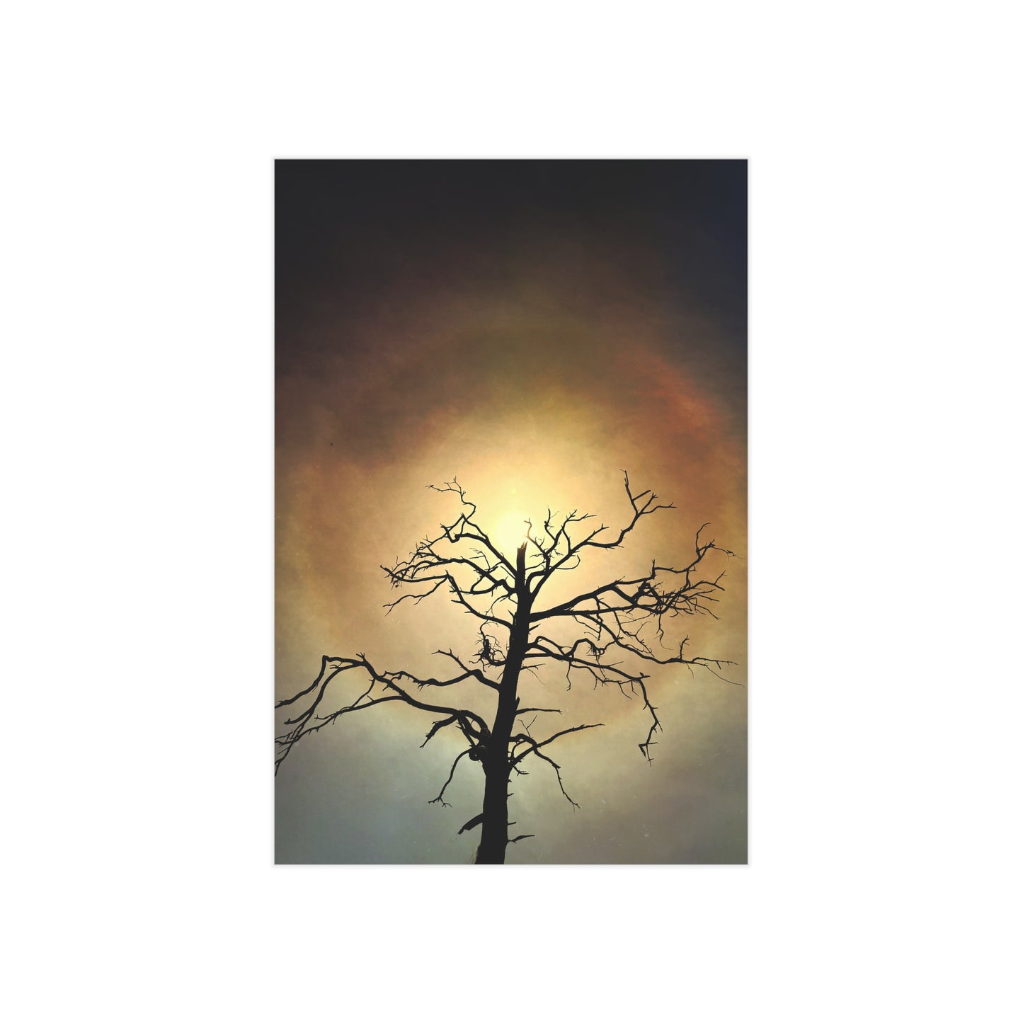 The Eye Opens Paper Print