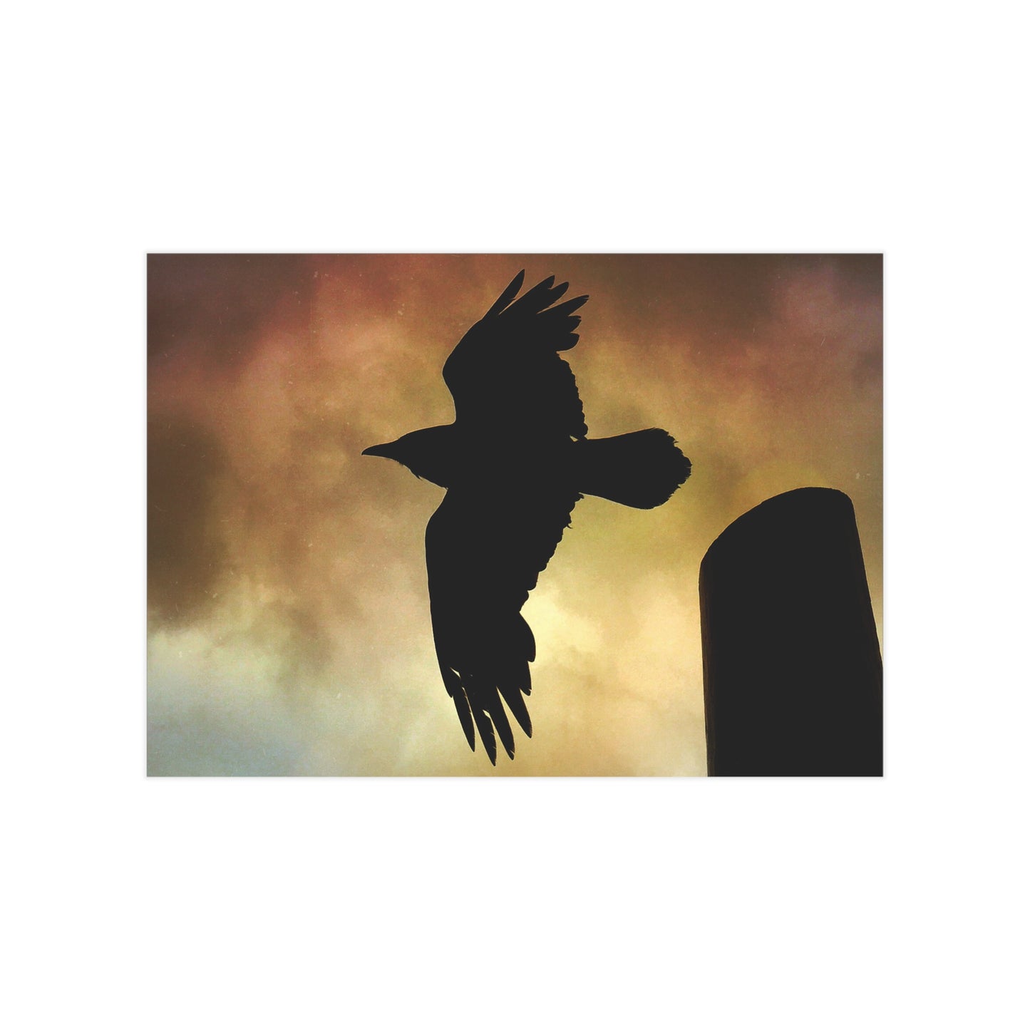 Guardian Awakens Paper Print