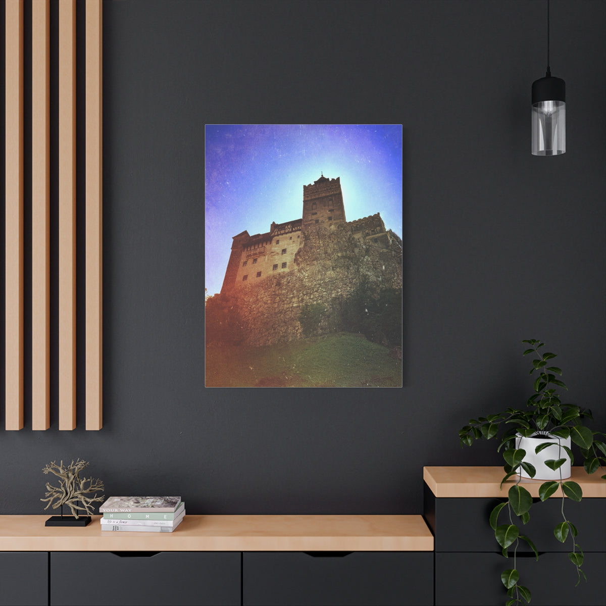 Castle Dracula Matte Canvas, Stretched, 1.25"