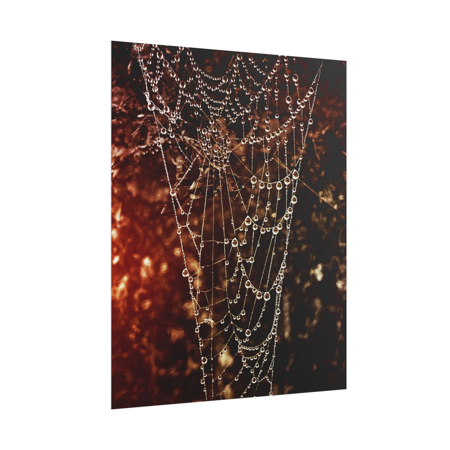 Jewels of Dawn V.2 Rolled Poster