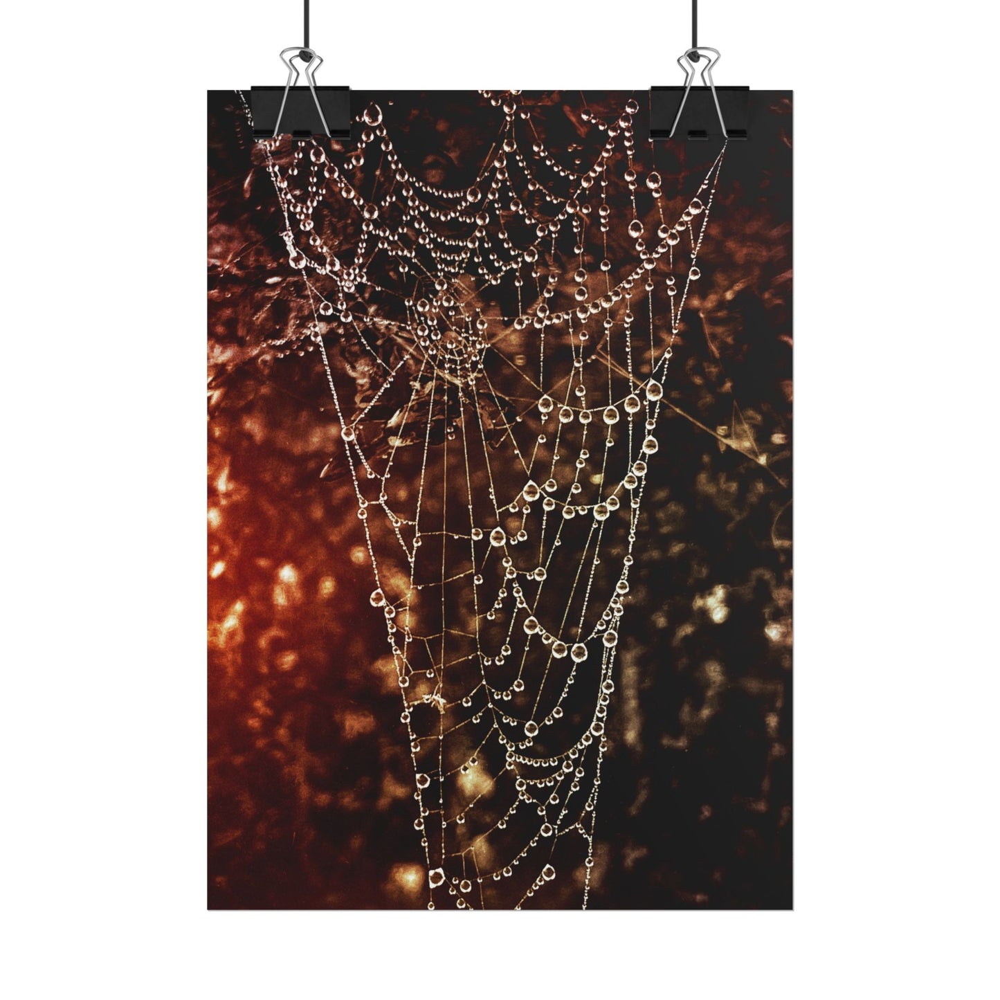 Jewels of Dawn V.2 Rolled Poster