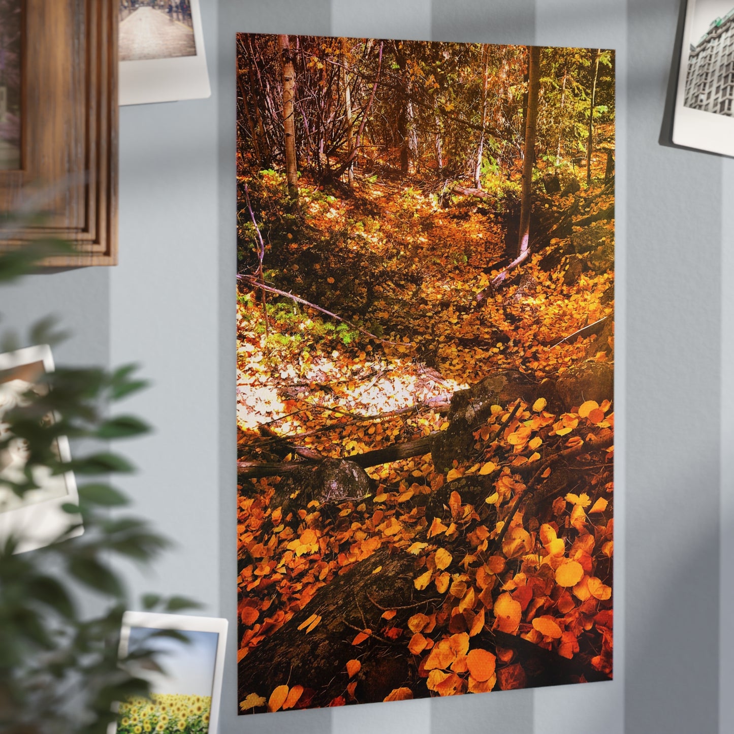 Autumn Gold Paper Print