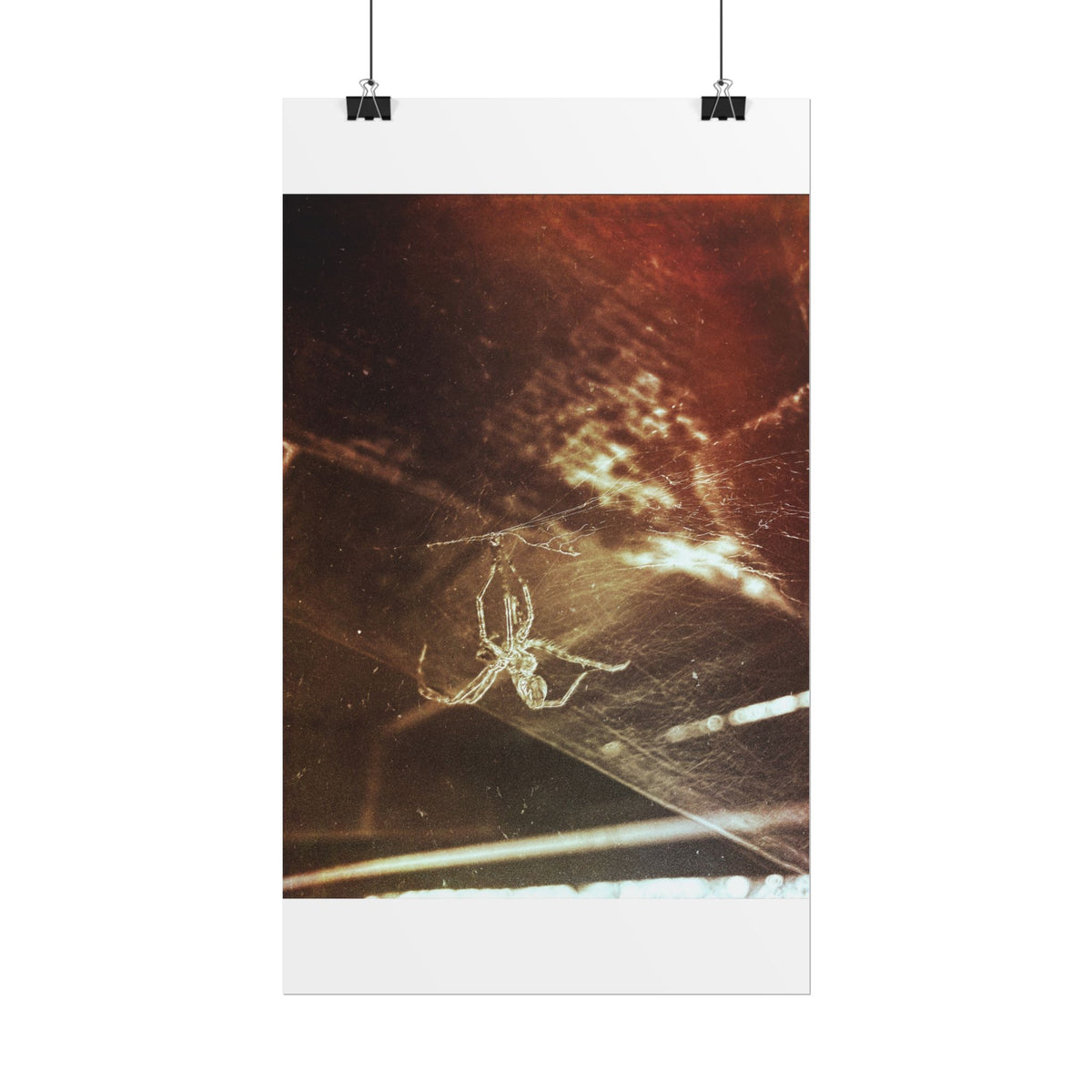 Discarded Nightmare Rolled Posters