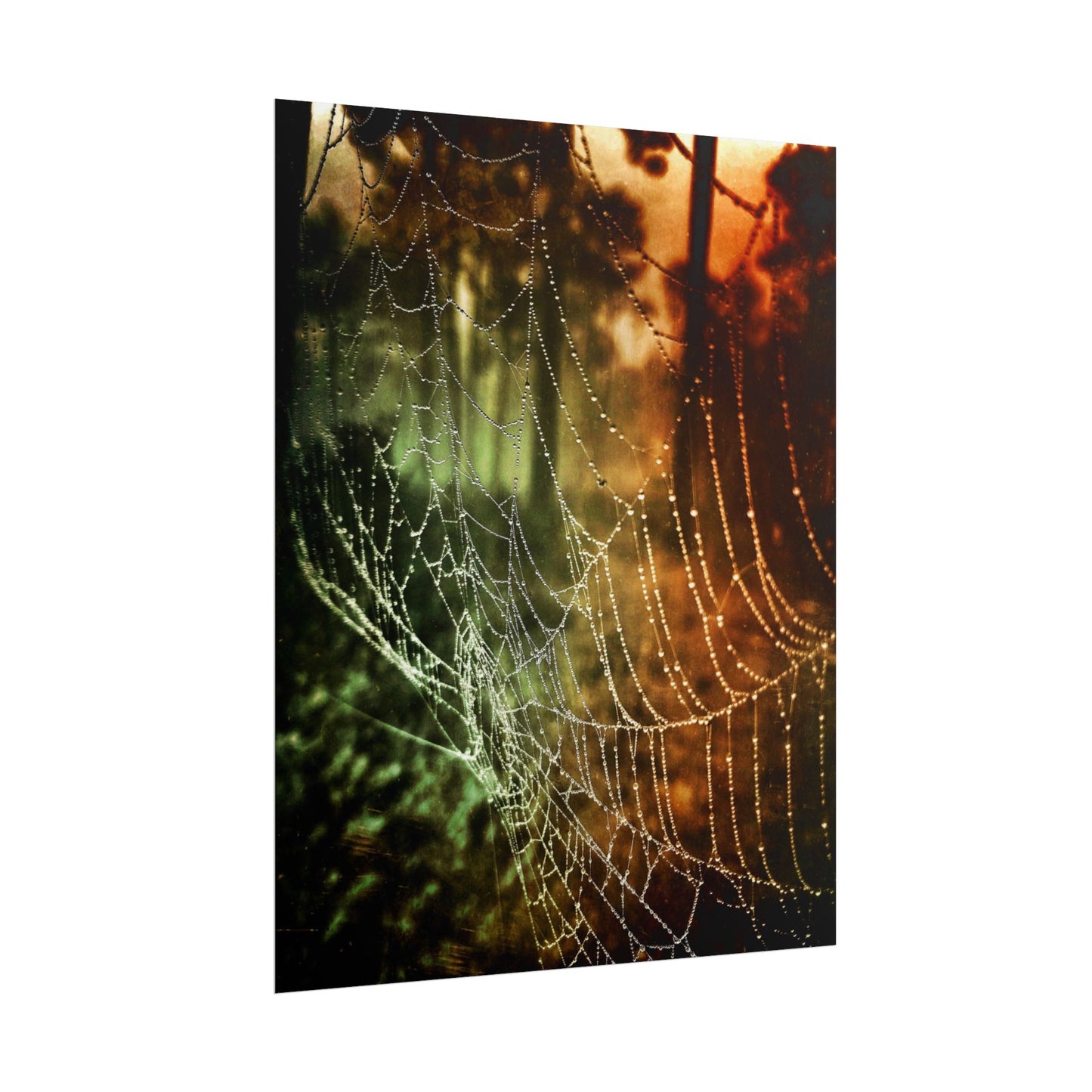 Tears of Dawn (V.2) Rolled Poster