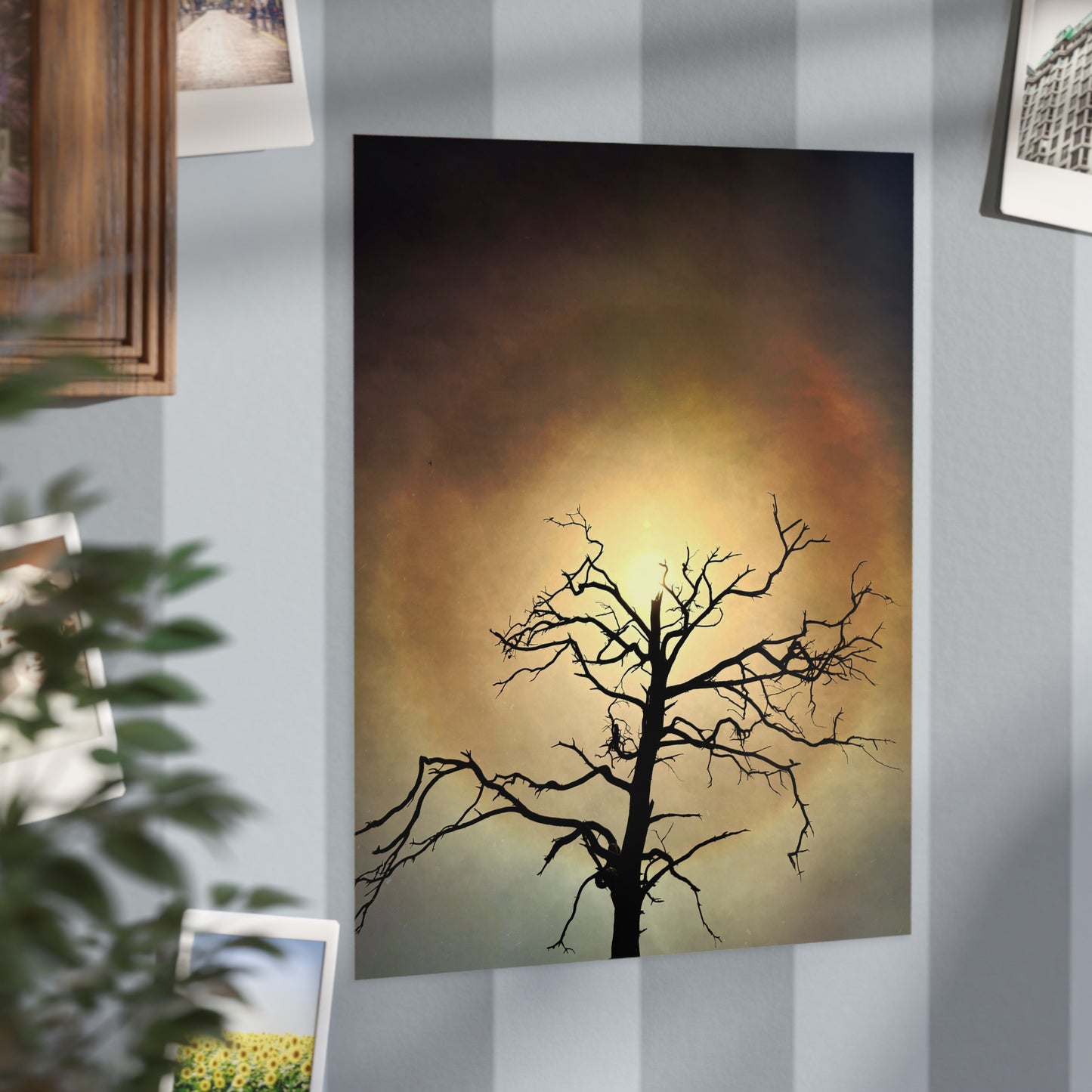 The Eye Opens Paper Print