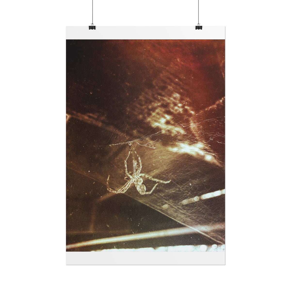 Discarded Nightmare Rolled Posters