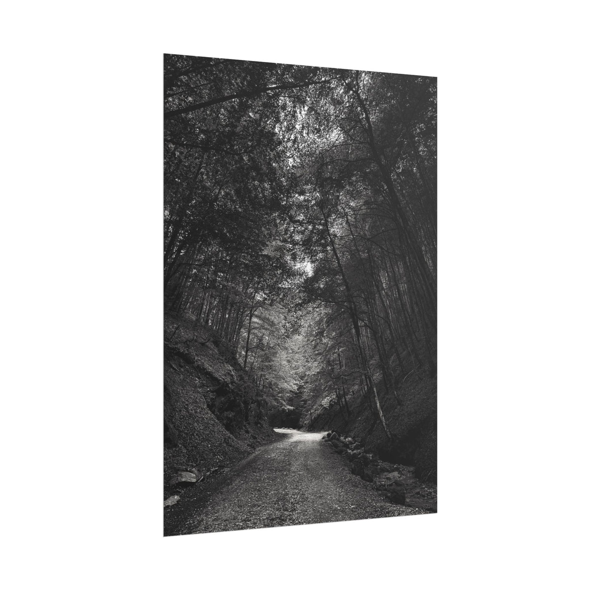 Carpathian Forest Rolled Posters