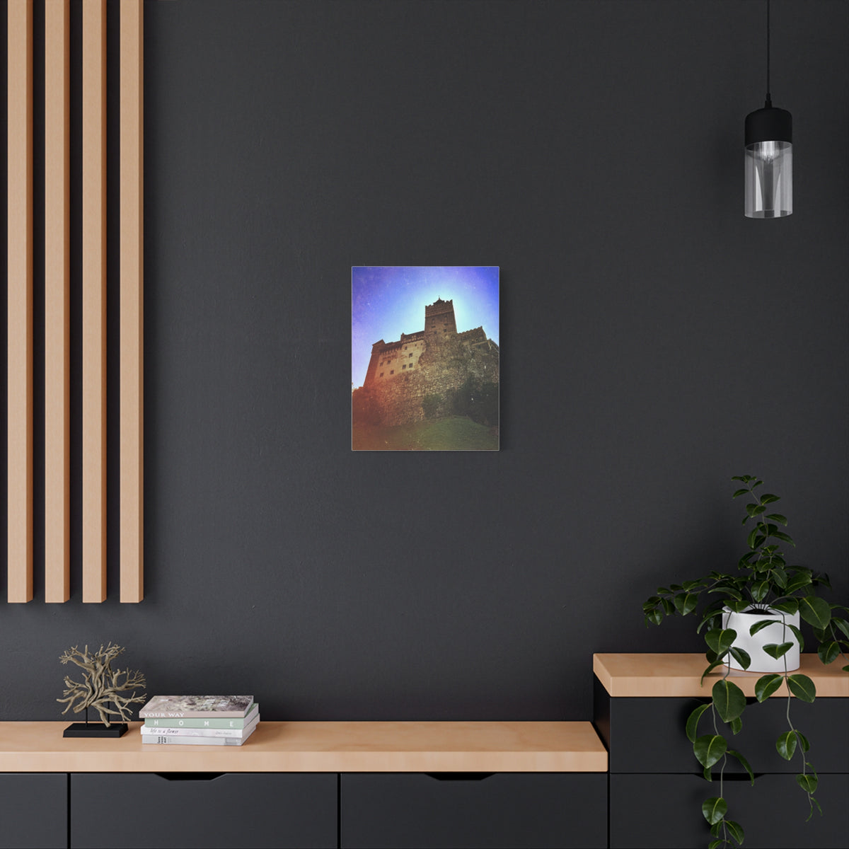 Castle Dracula Matte Canvas, Stretched, 1.25"