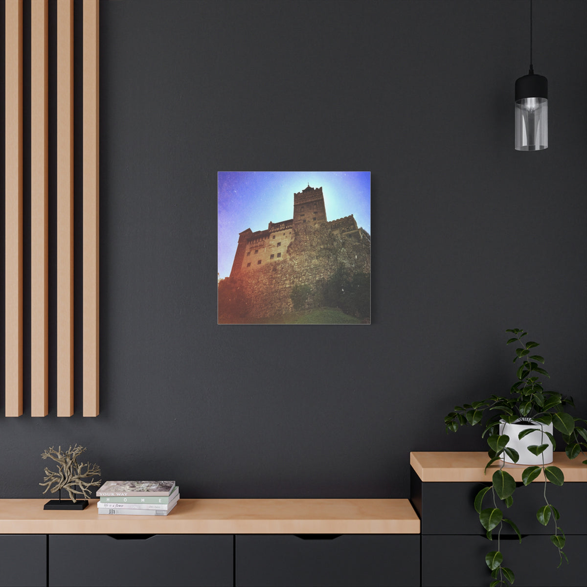Castle Dracula Matte Canvas, Stretched, 1.25"