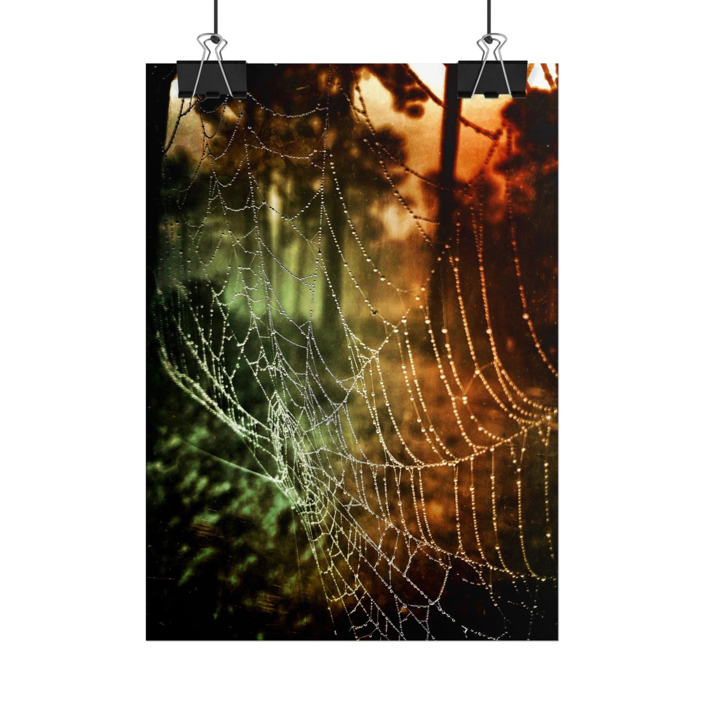 Tears of Dawn (V.2) Rolled Poster