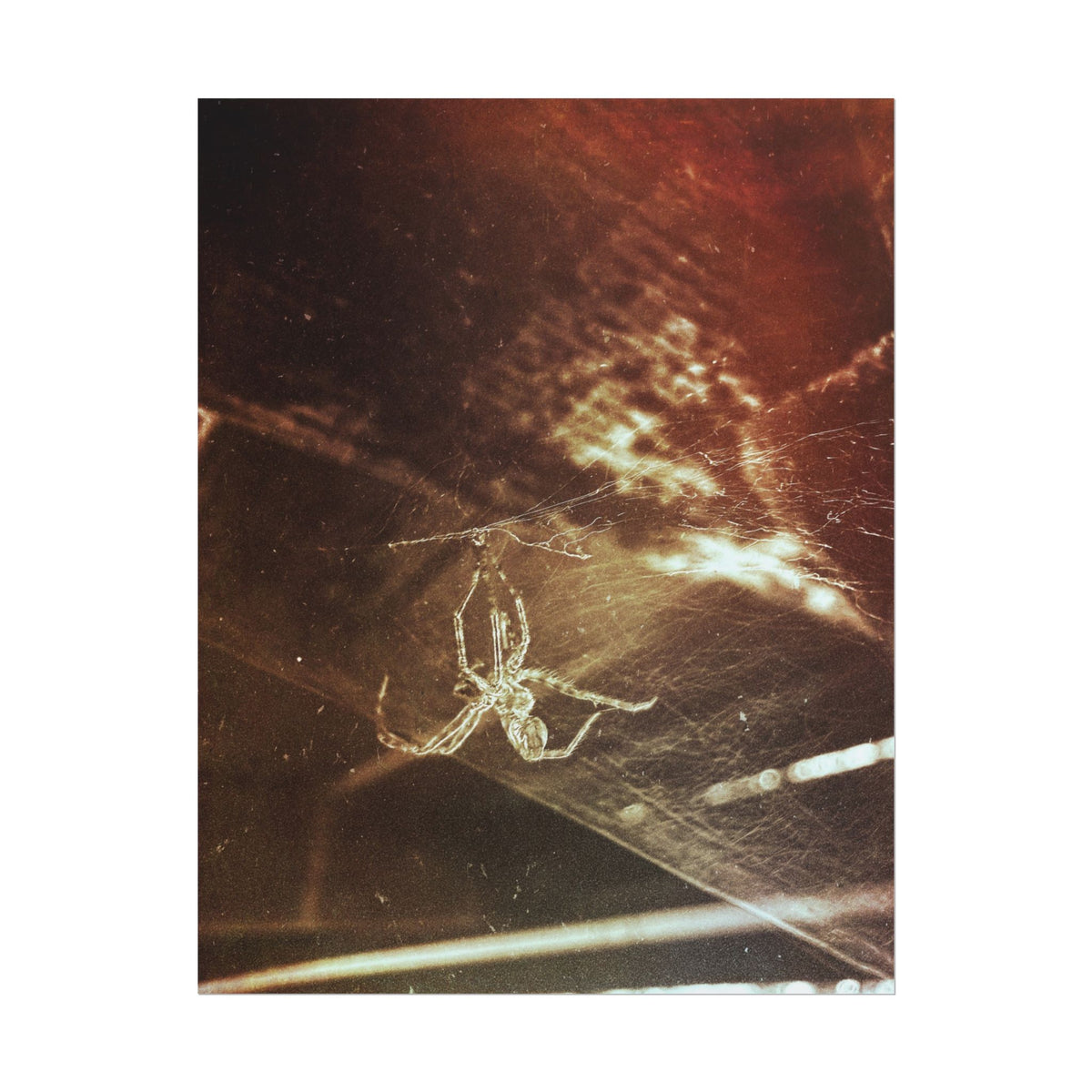 Discarded Nightmare Rolled Posters