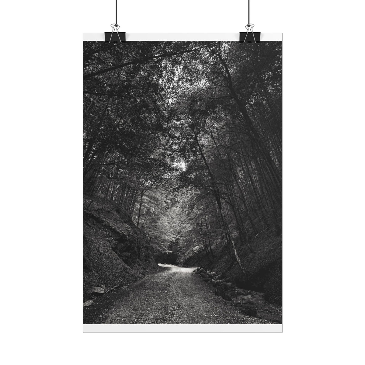 Carpathian Forest Rolled Posters