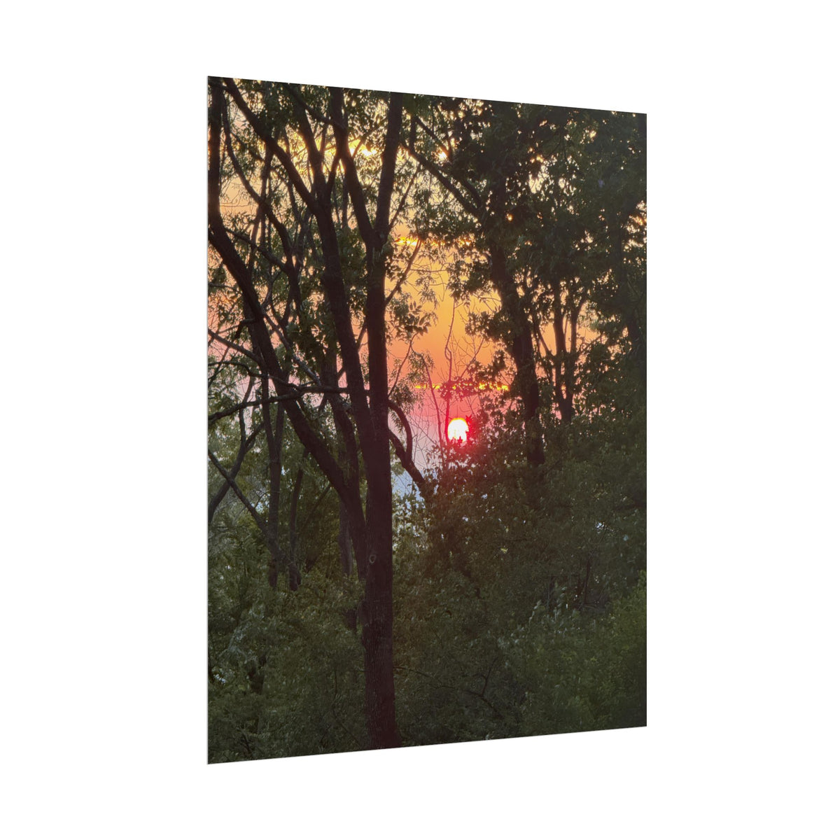 Carpathian Sunset Rolled Posters