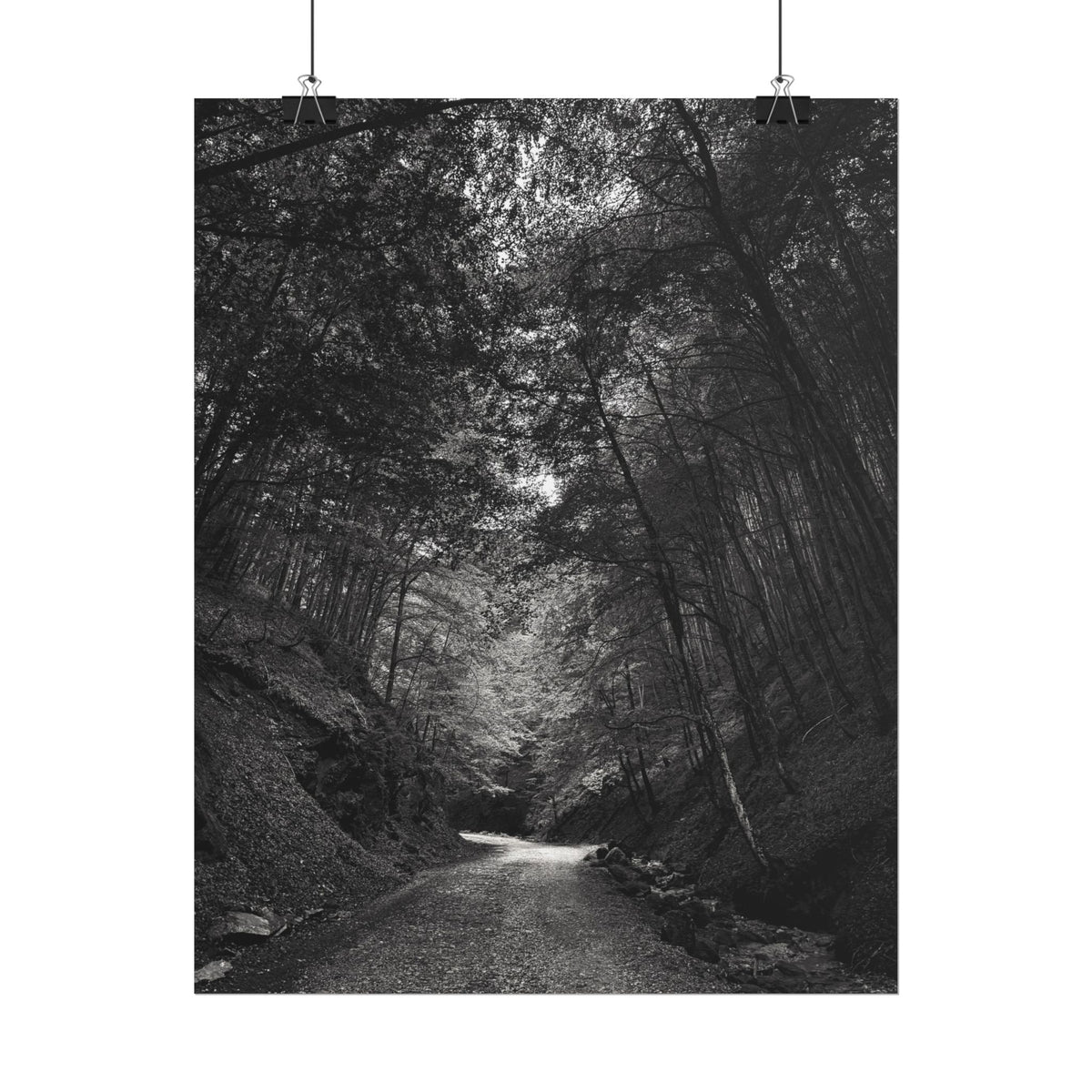 Carpathian Forest Rolled Posters