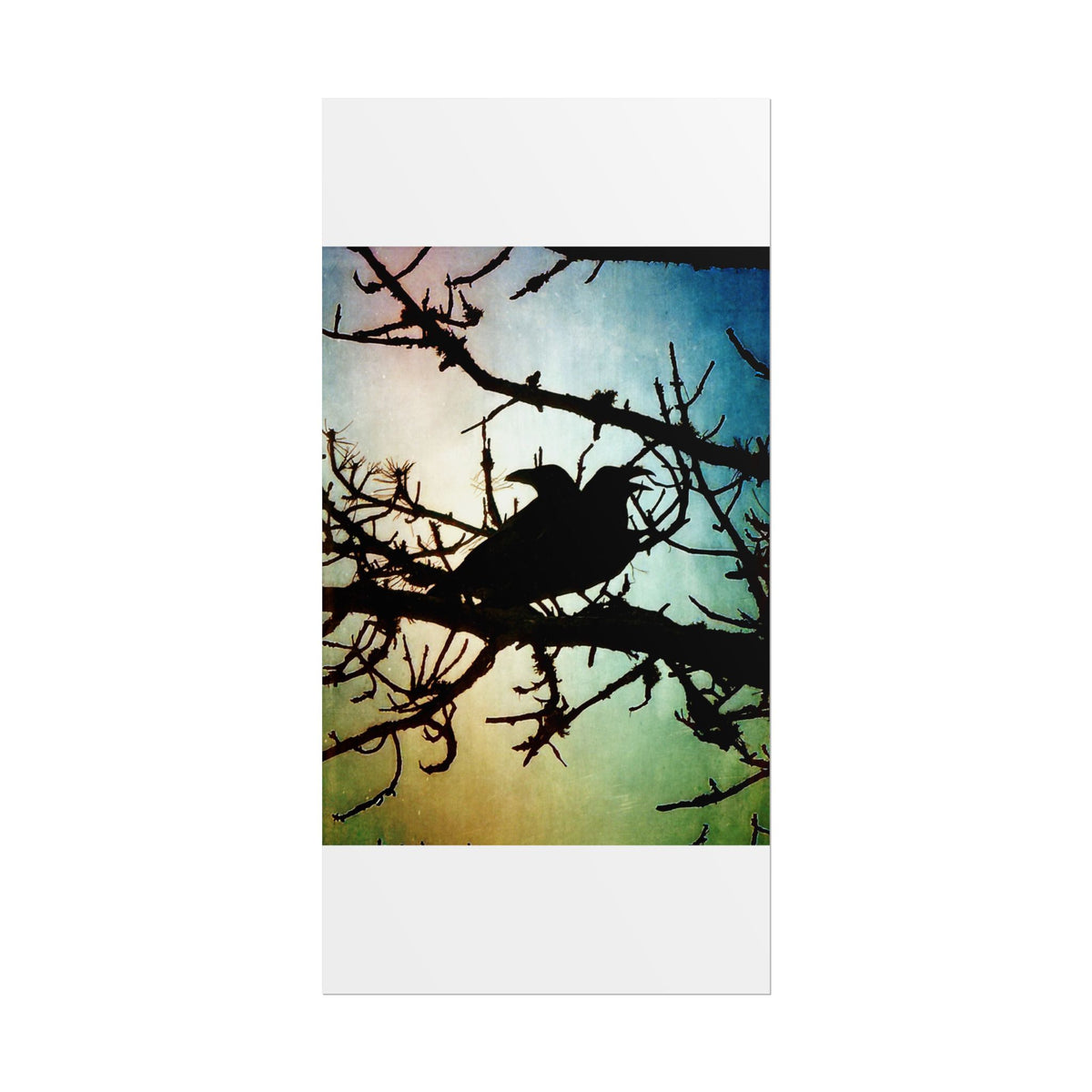 Rolled Posters