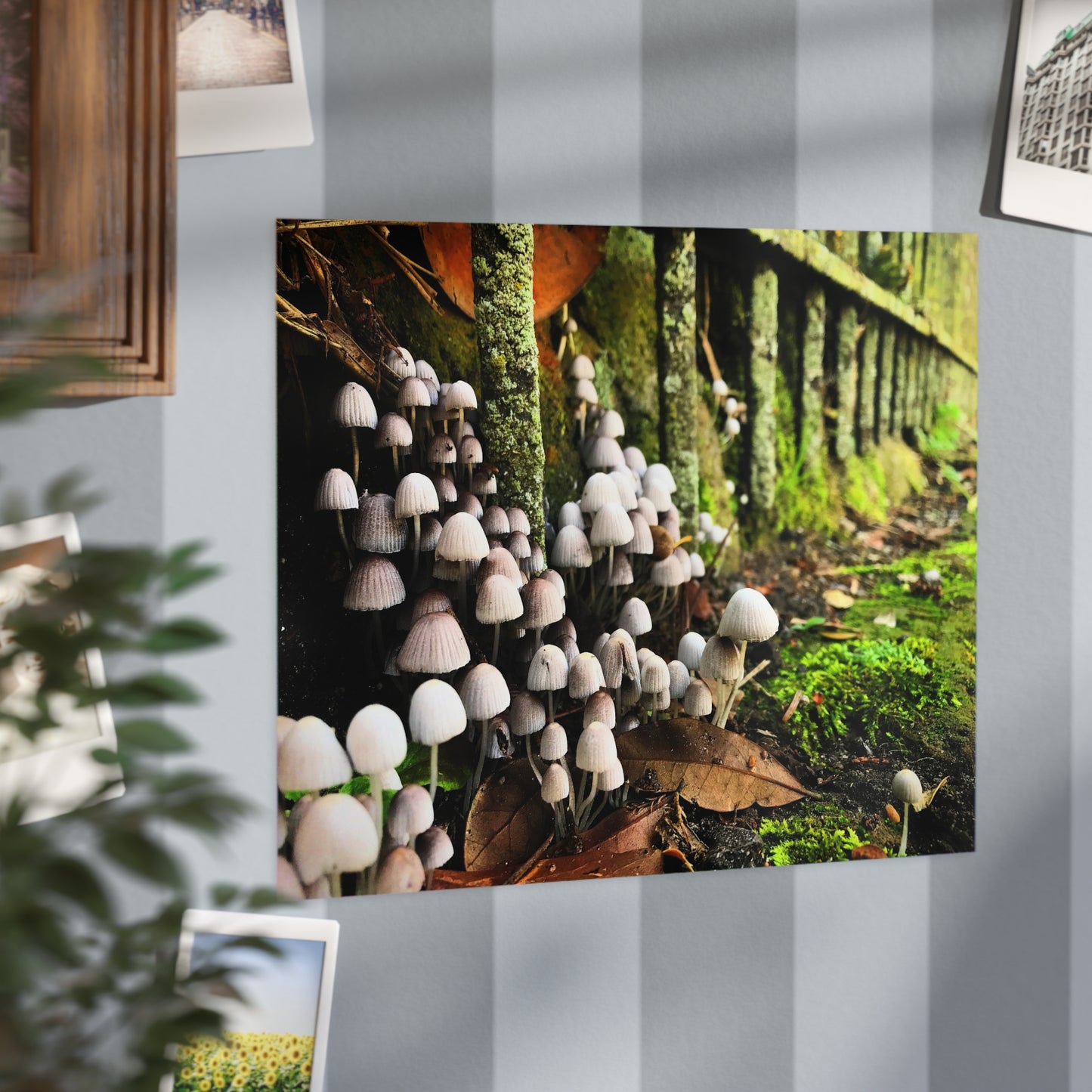 The Kingdom Paper Print
