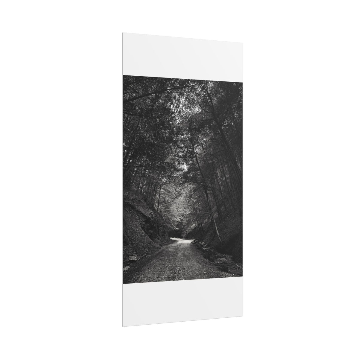 Carpathian Forest Rolled Posters