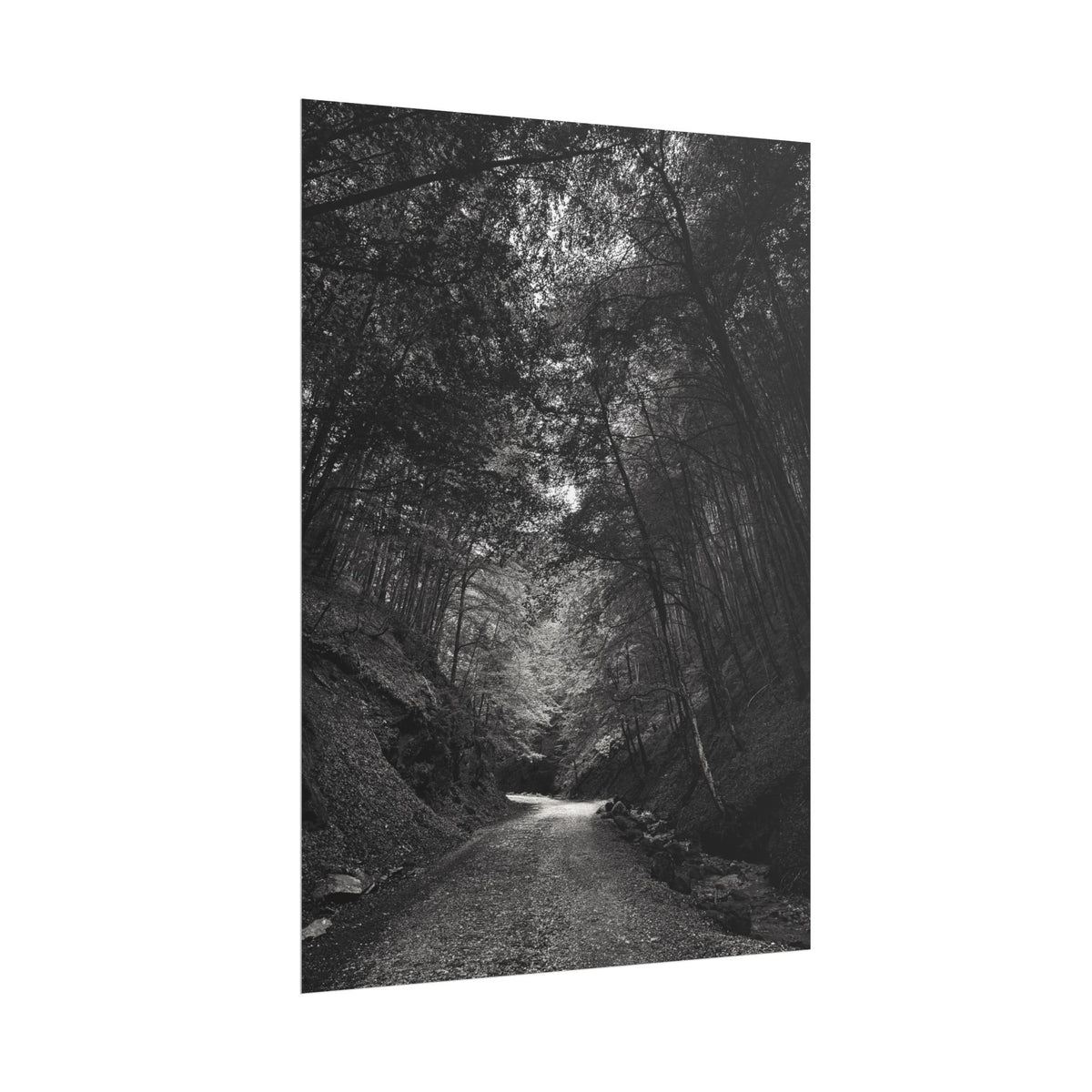 Carpathian Forest Rolled Posters