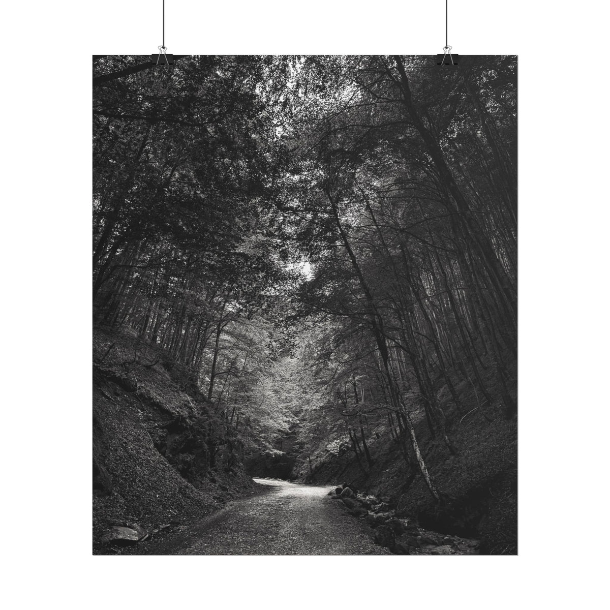 Carpathian Forest Rolled Posters