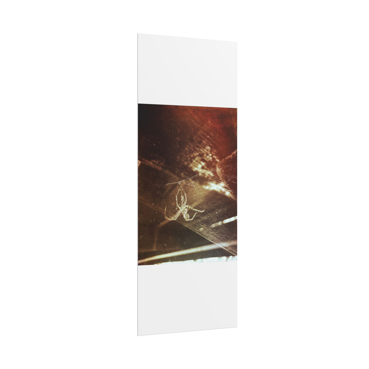 Discarded Nightmare Rolled Posters