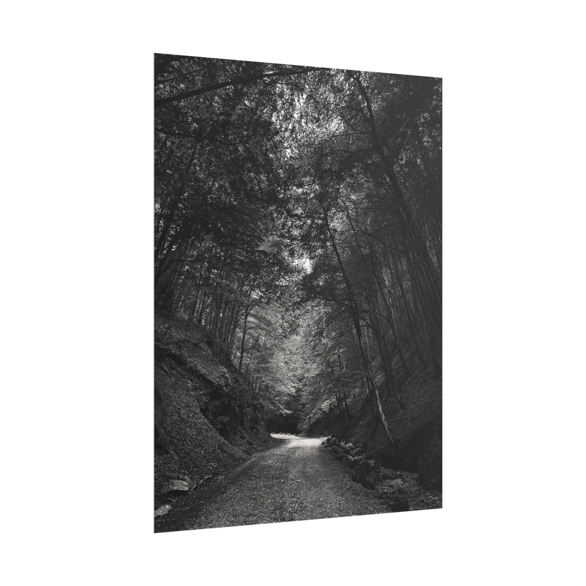Carpathian Forest Rolled Posters
