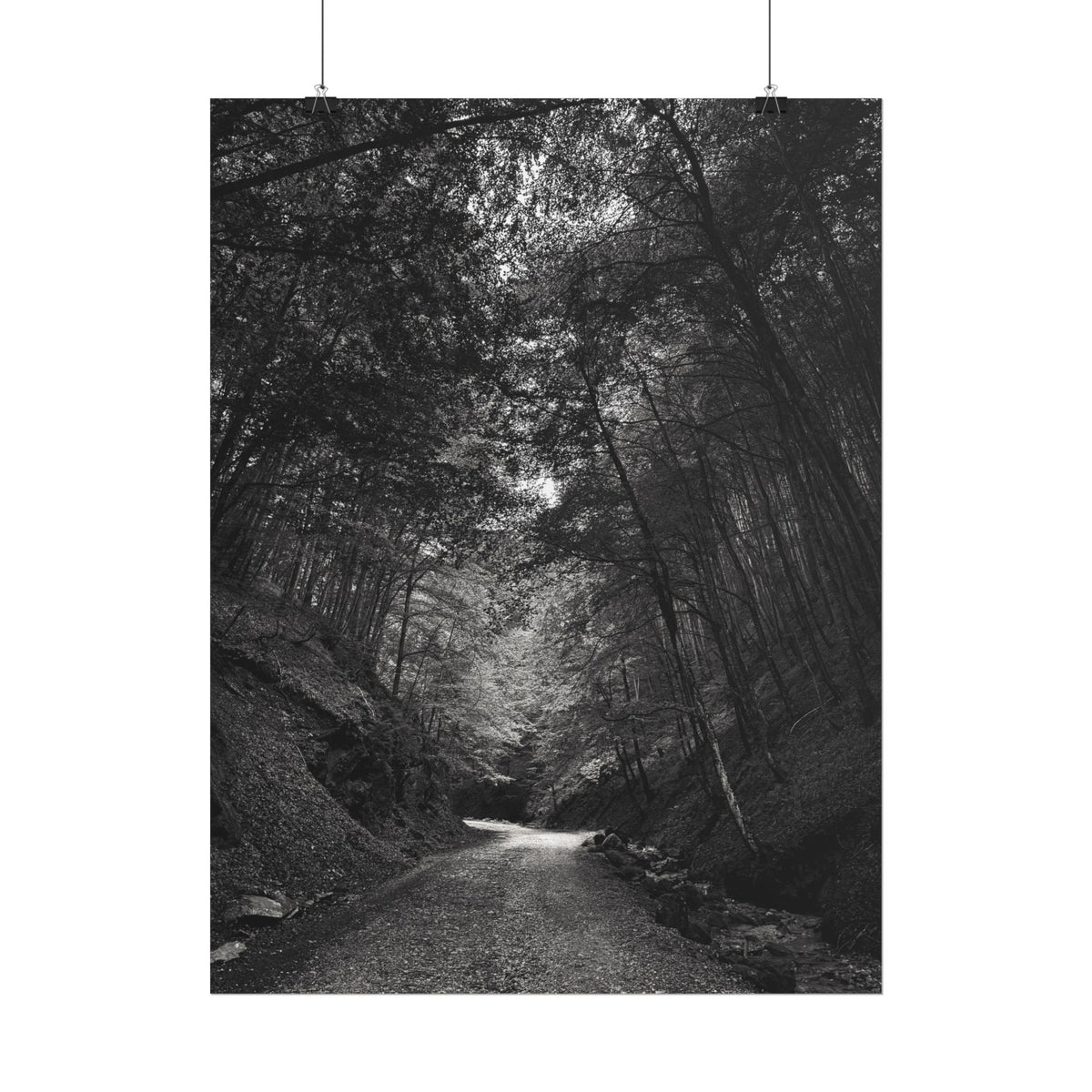 Carpathian Forest Rolled Posters