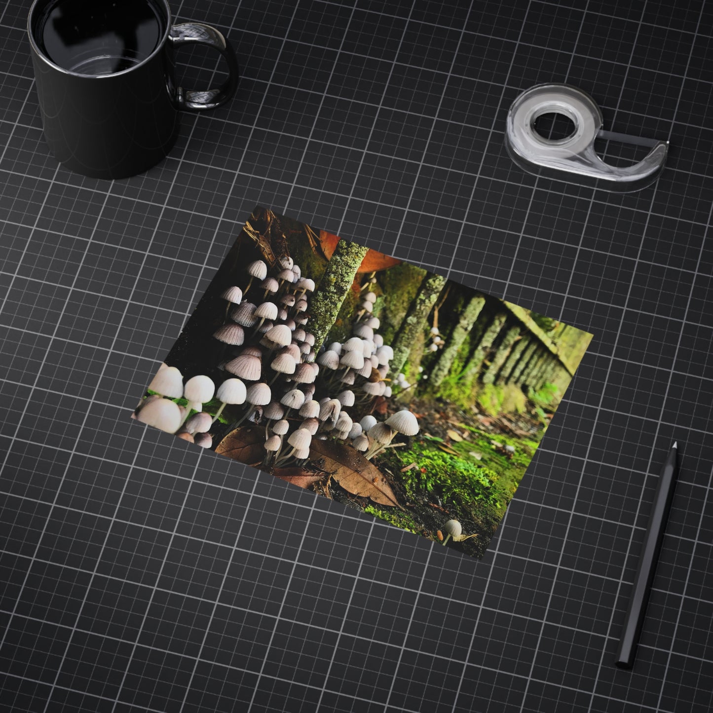 The Kingdom Paper Print
