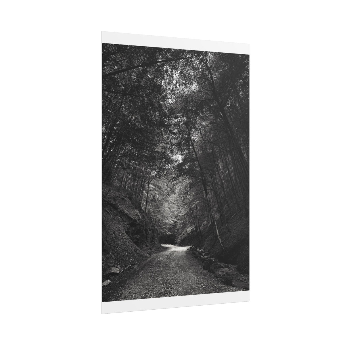 Carpathian Forest Rolled Posters