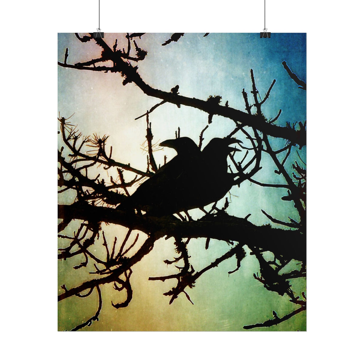 Rolled Posters