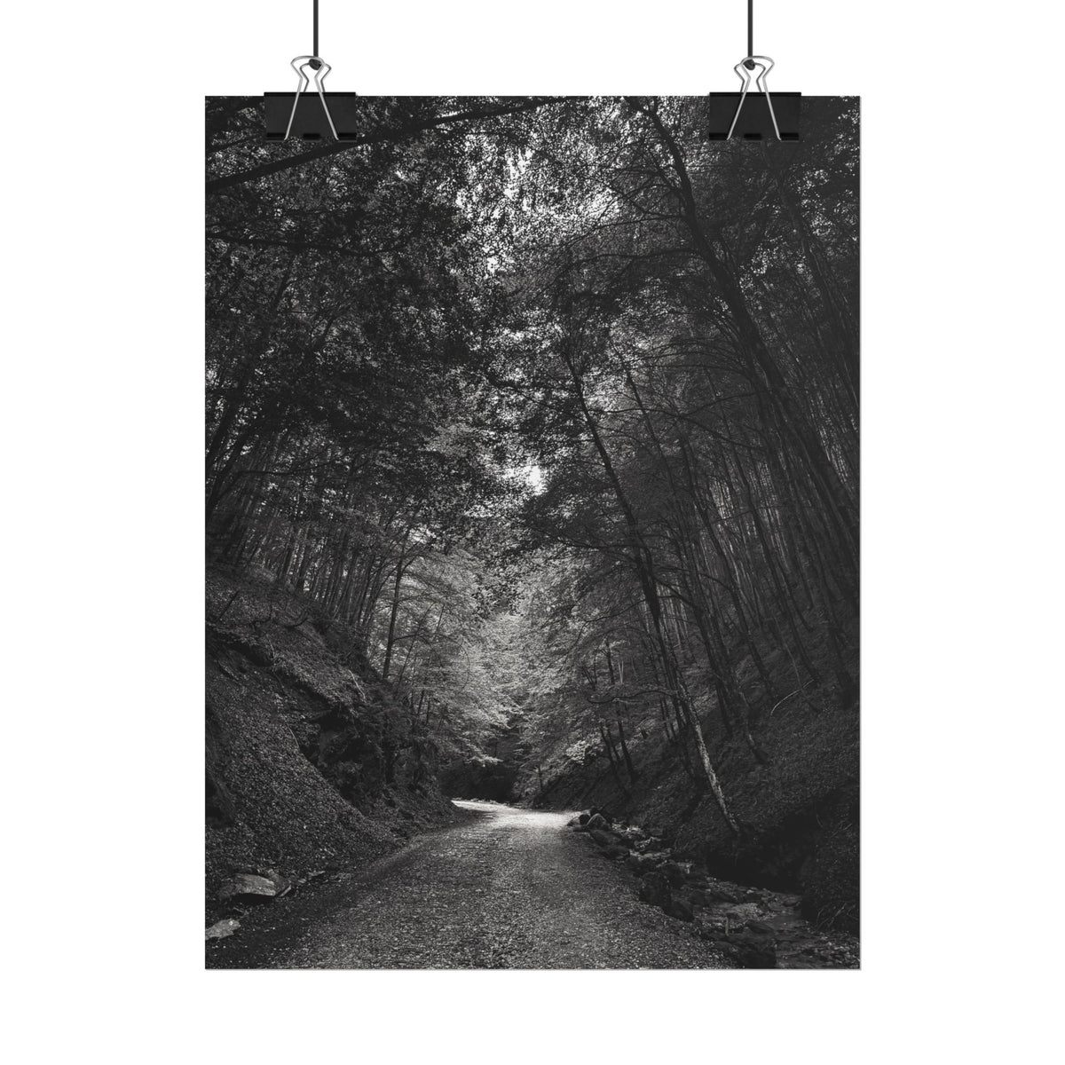 Carpathian Forest Rolled Posters