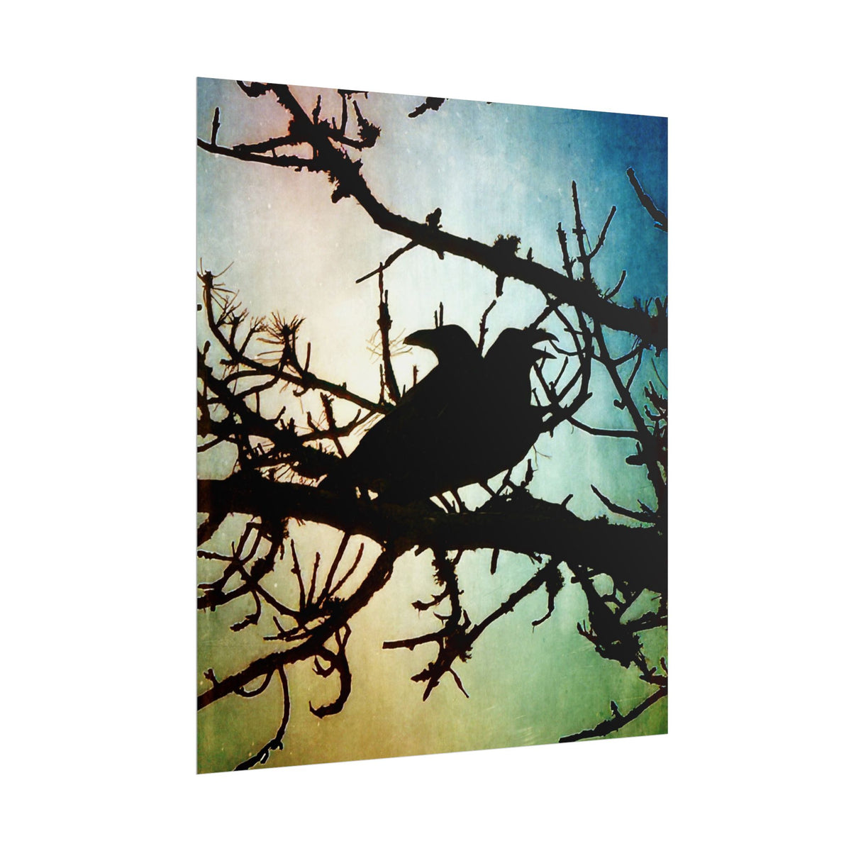 Rolled Posters