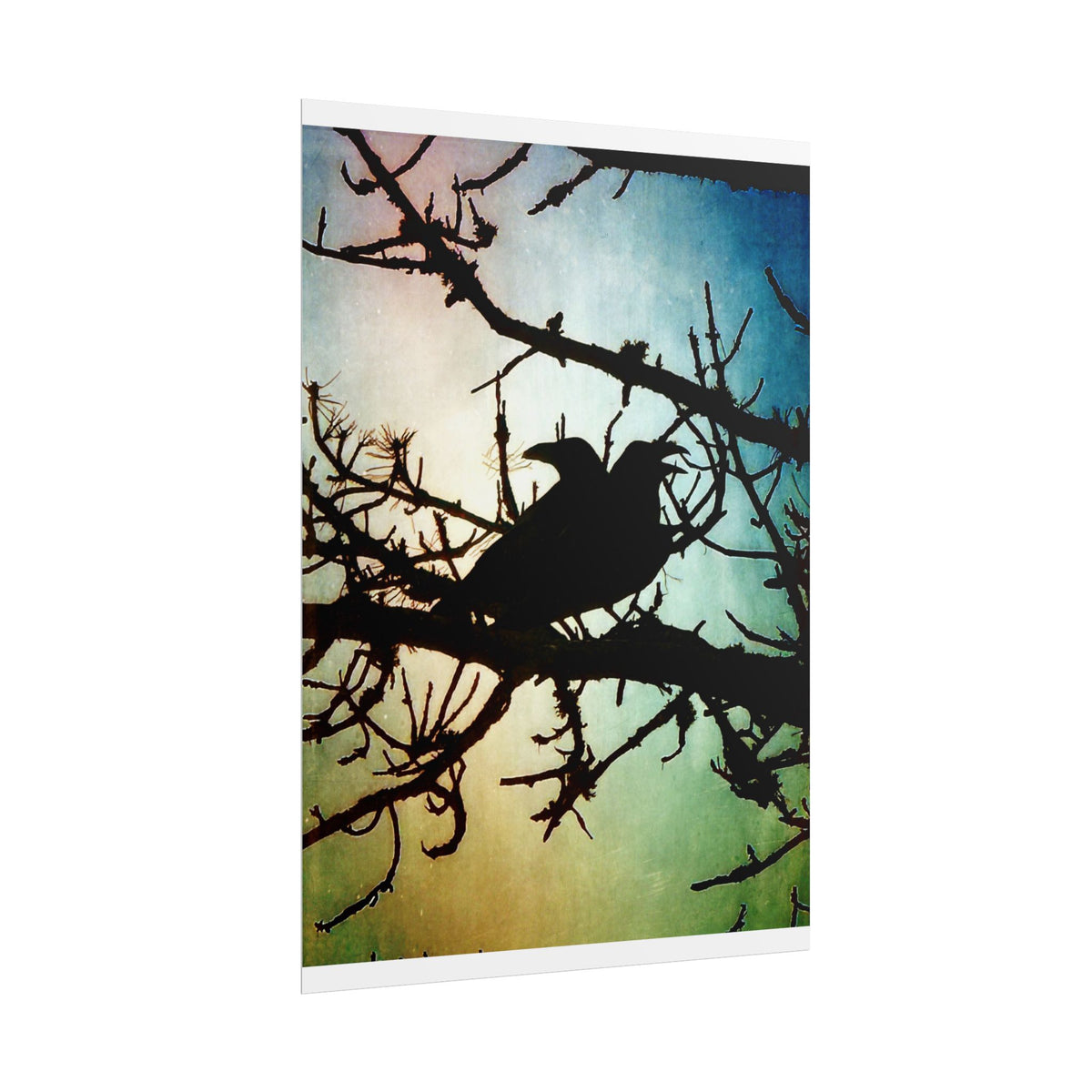 Rolled Posters