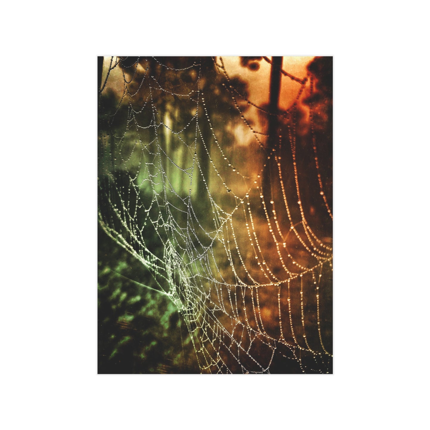 Tears of Dawn Paper Print