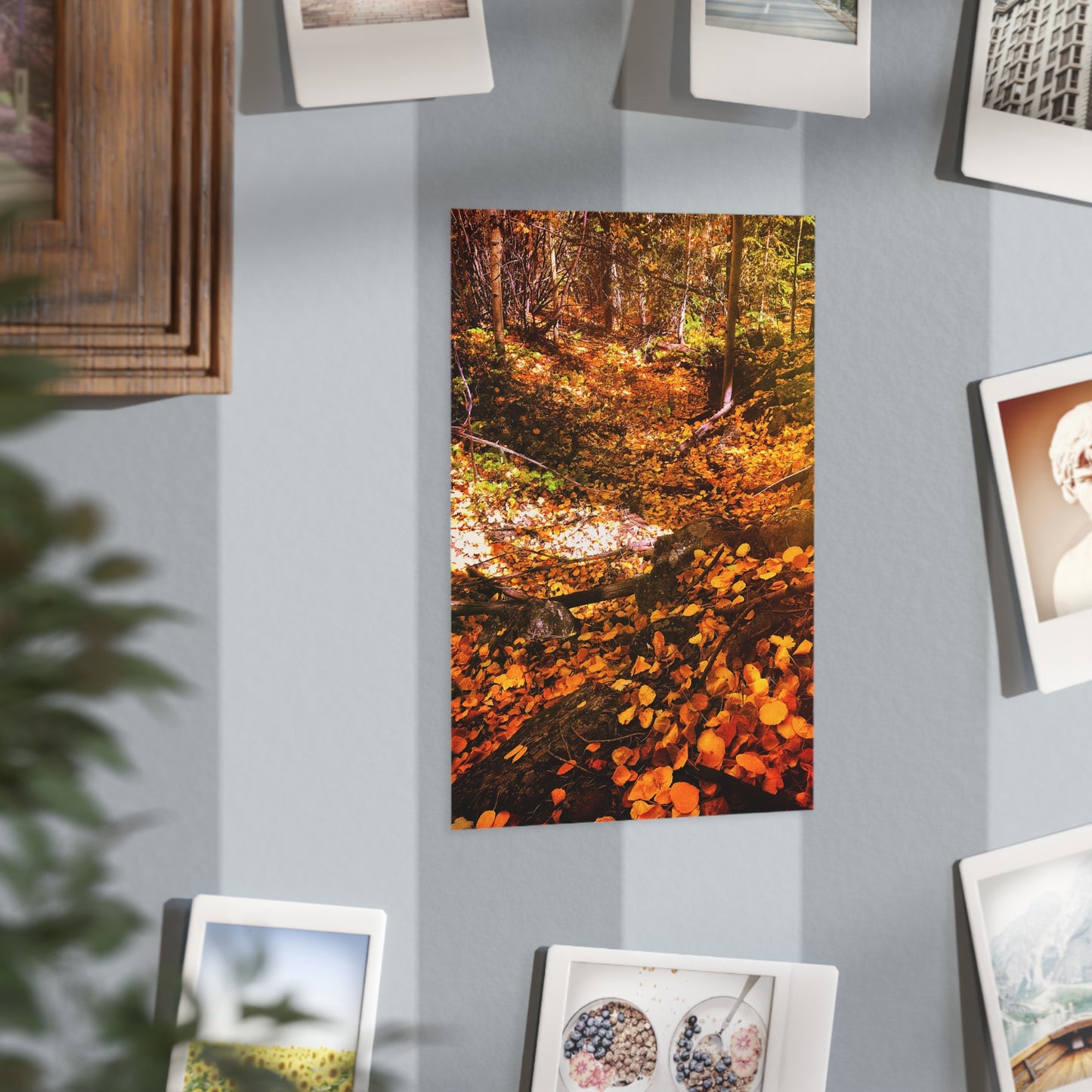 Autumn Gold Paper Print
