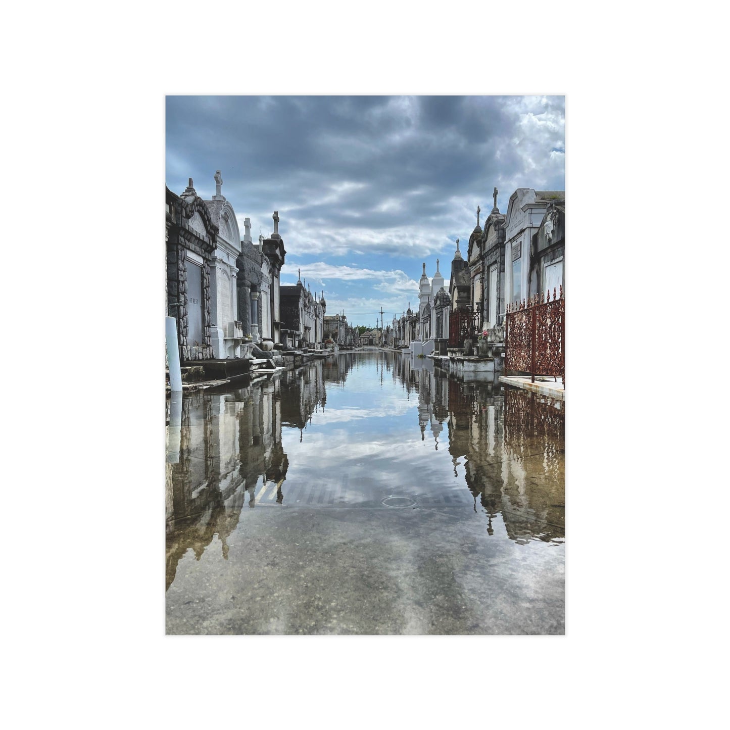 Avenue of Forever Paper Print