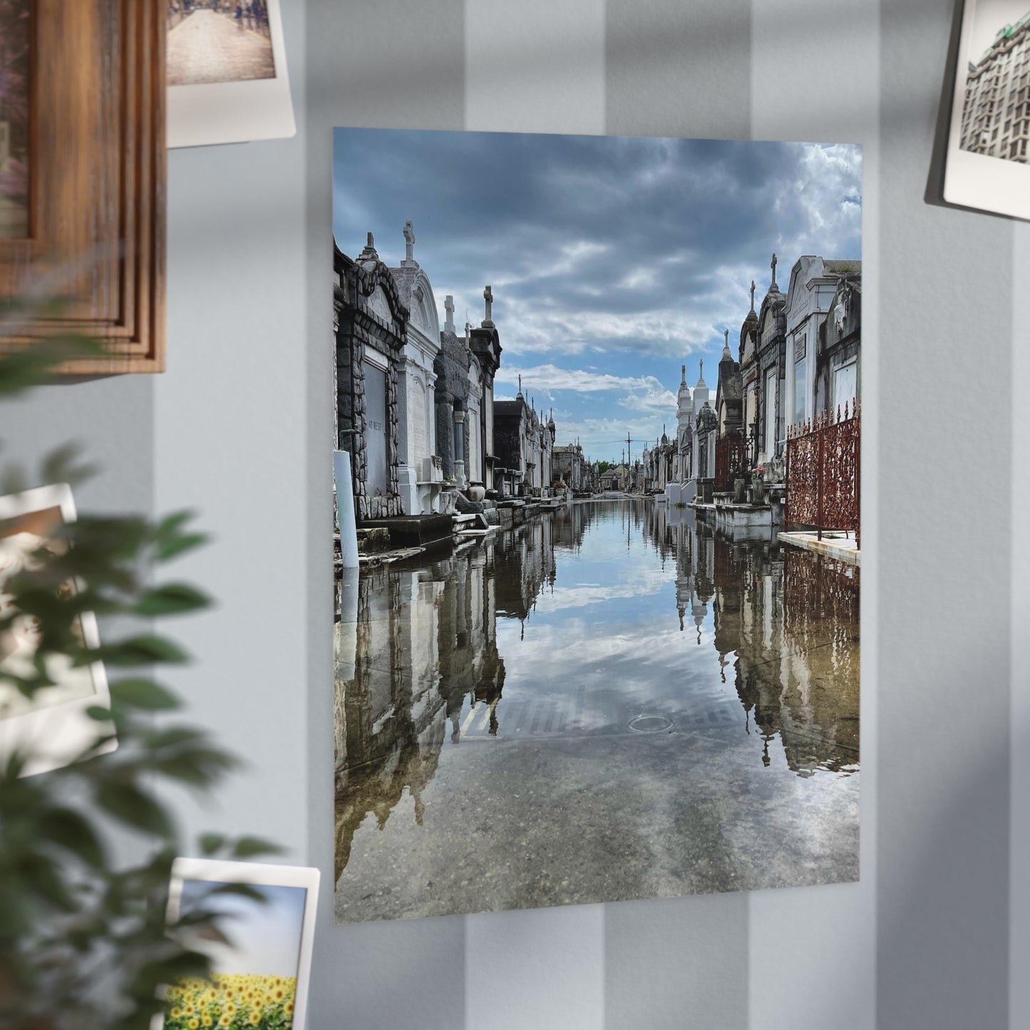 Avenue of Forever Paper Print