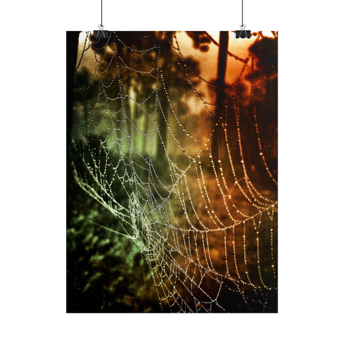 Tears of Dawn (V.2) Rolled Poster
