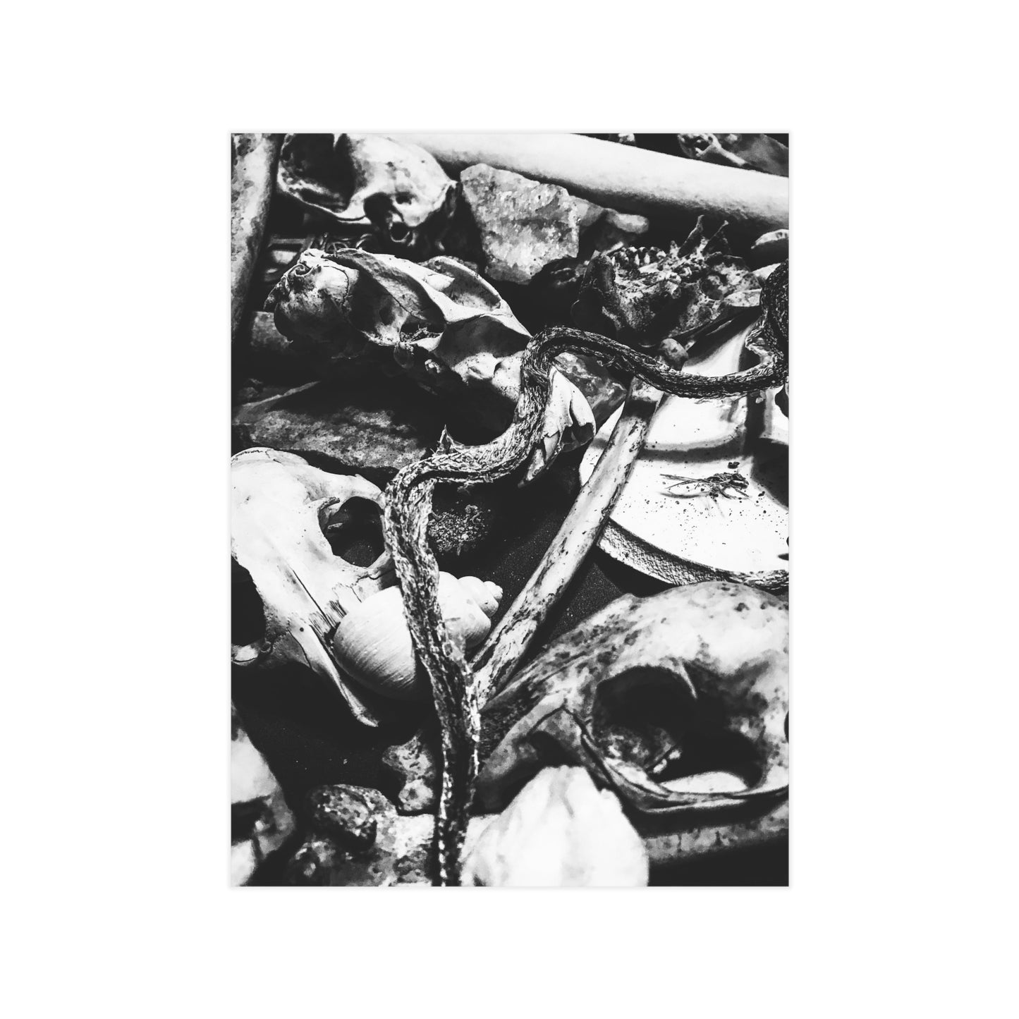Them Bones Paper Print
