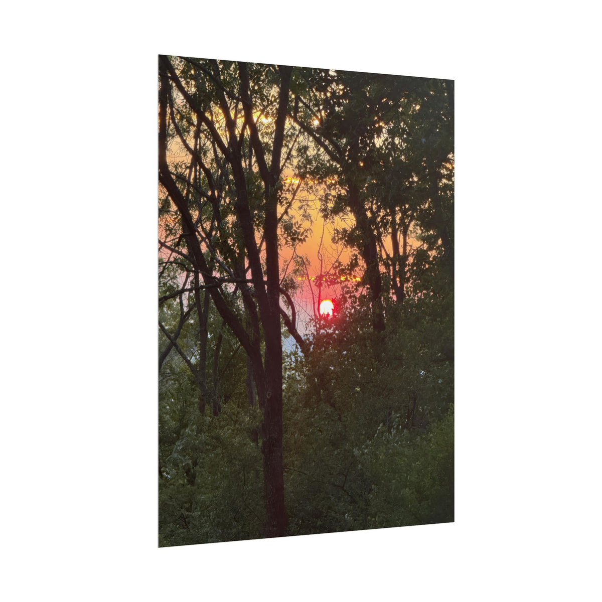 Carpathian Sunset Rolled Posters
