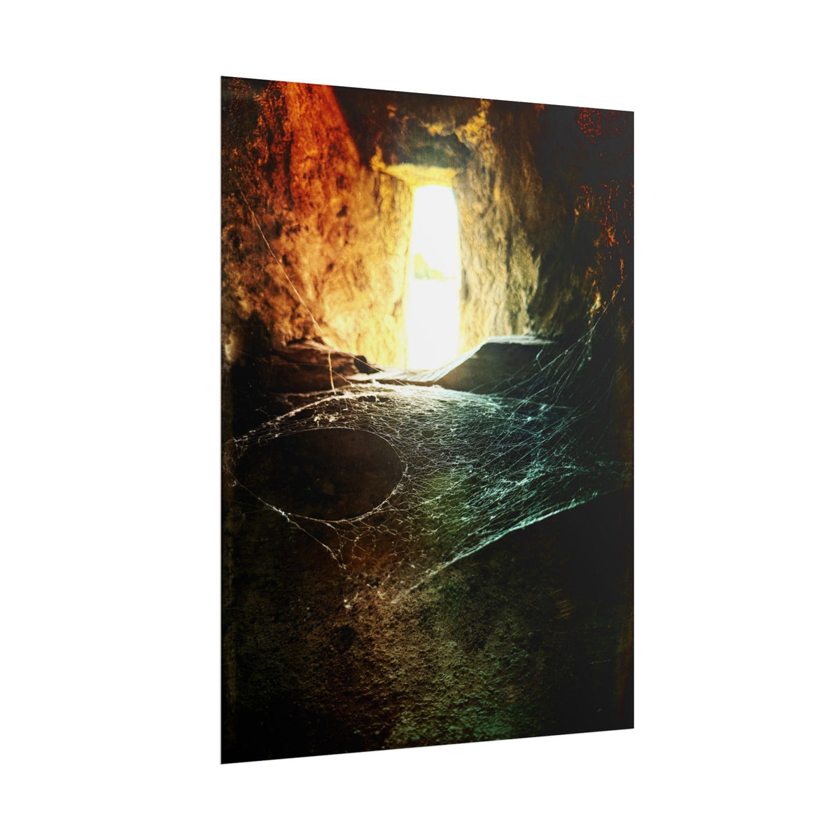 Where the Spiders Spin Rolled Posters