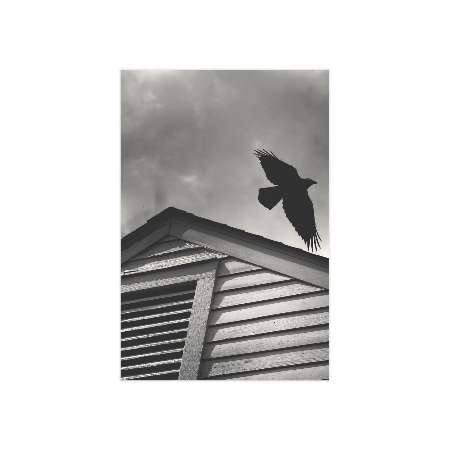 The Messenger Paper Print
